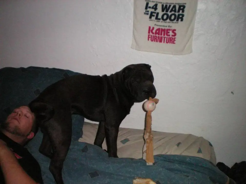 100_0099.webp
