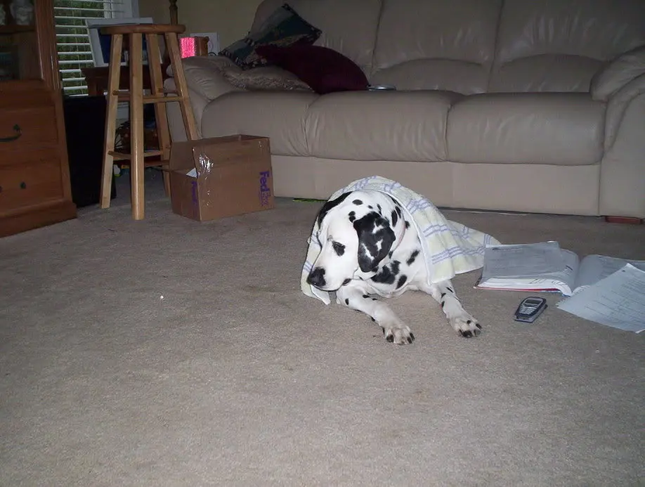 100_0173.webp