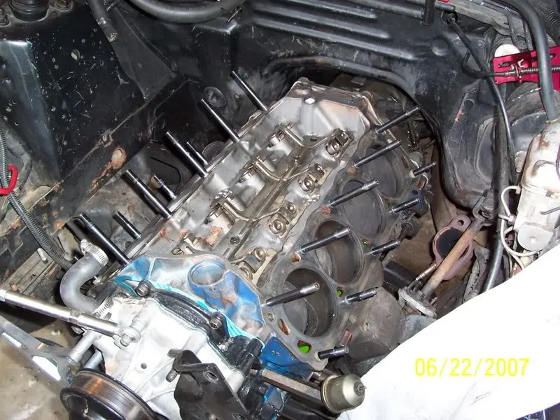 100_0175-1.webp
