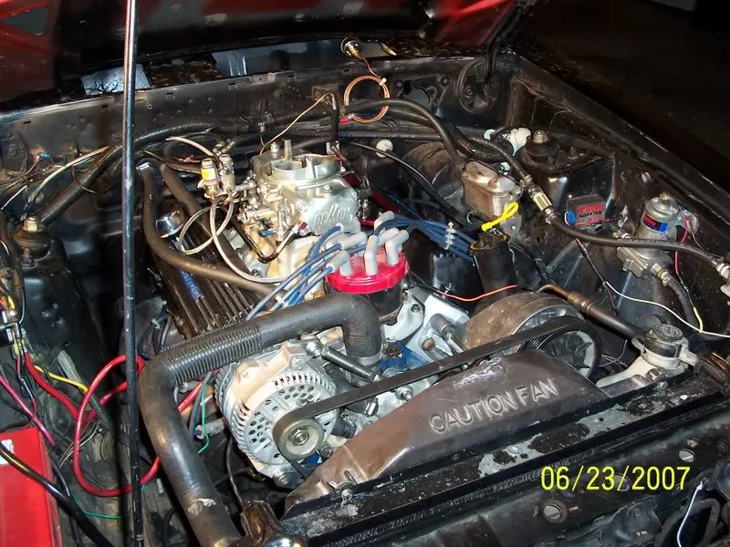 100_0181.webp