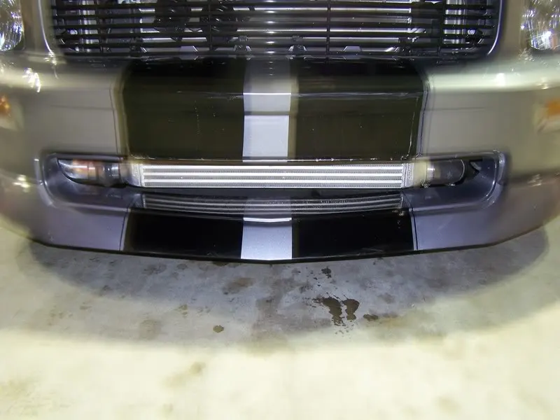 100_0197.webp