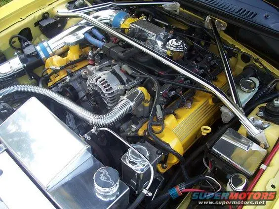 100_0199.webp