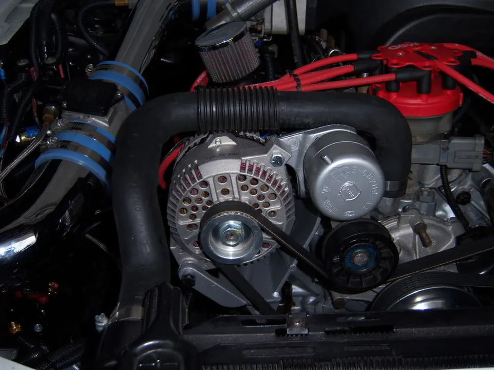 100_0231.webp