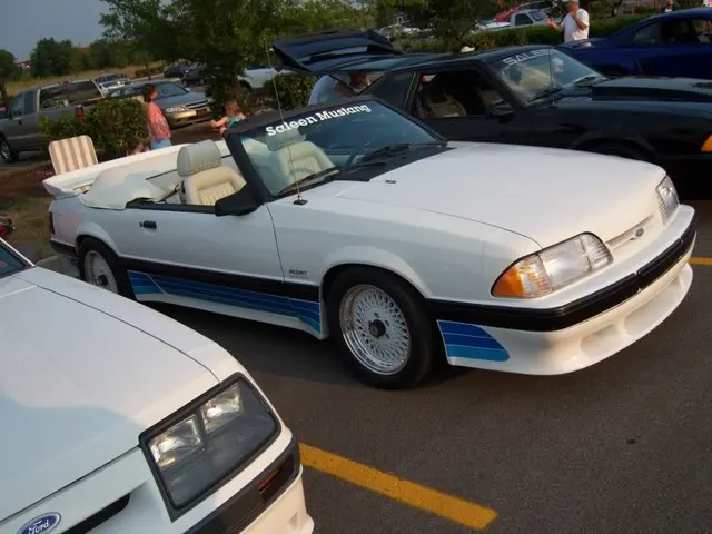 100_0235.webp