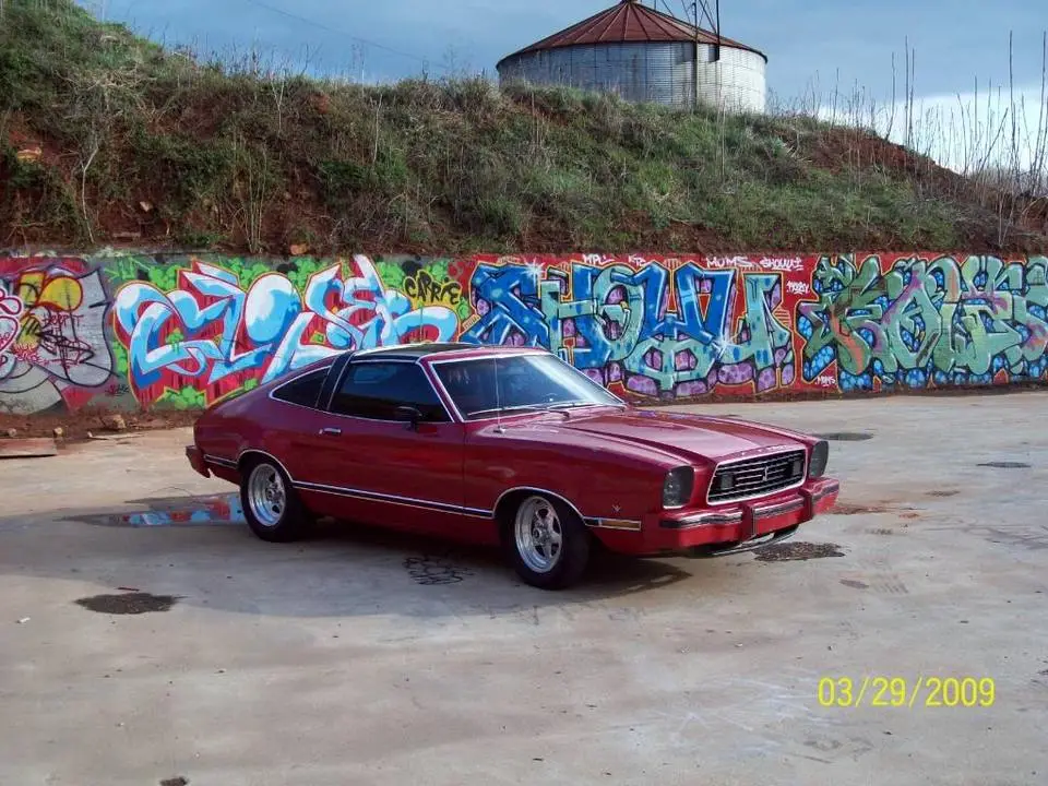 100_0238.webp