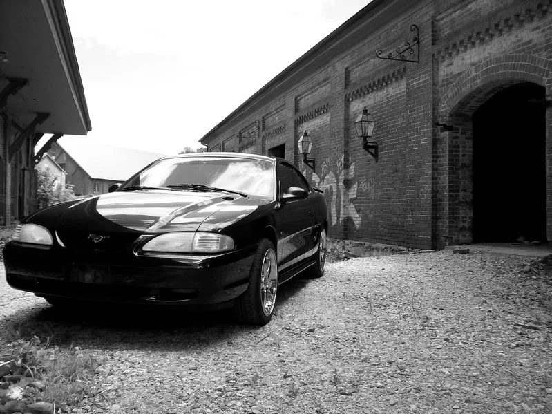 100_0260.webp