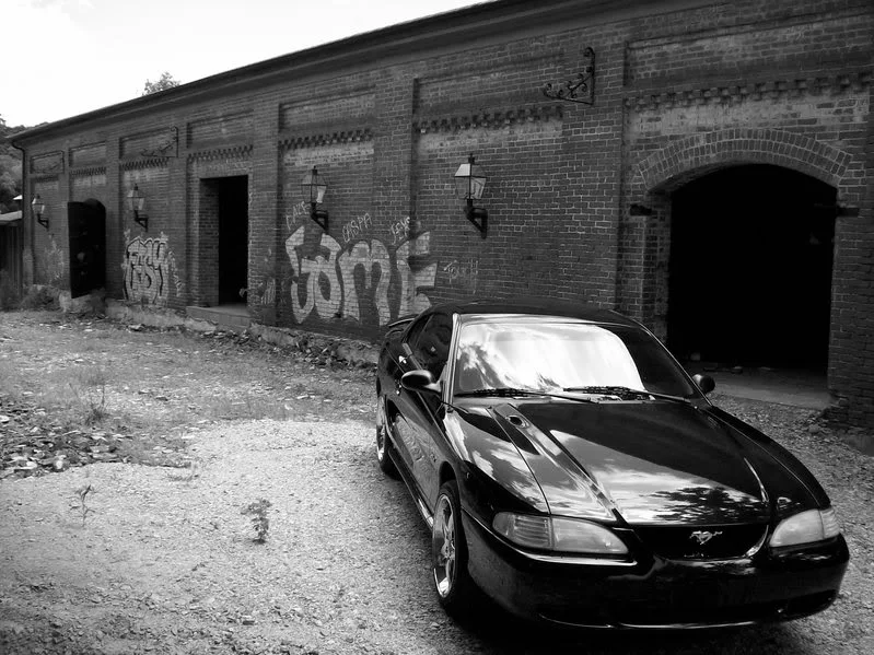 100_0262.webp