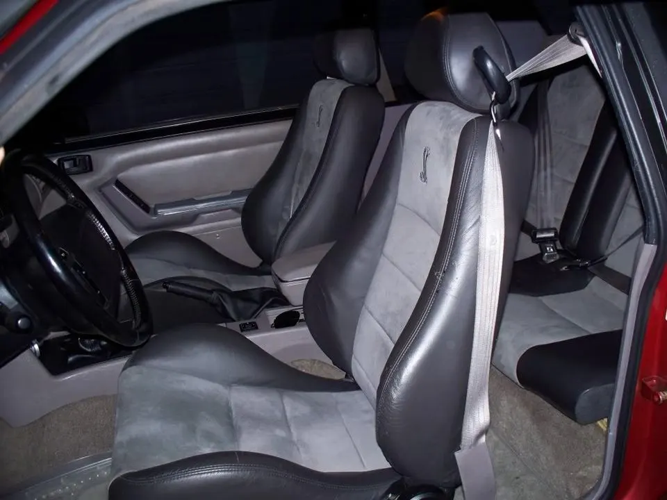 100_0264.webp