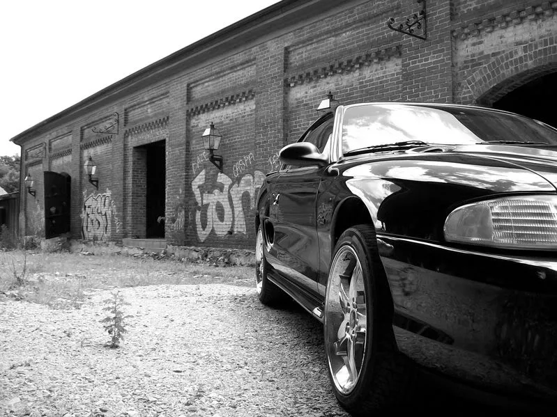 100_0264.webp