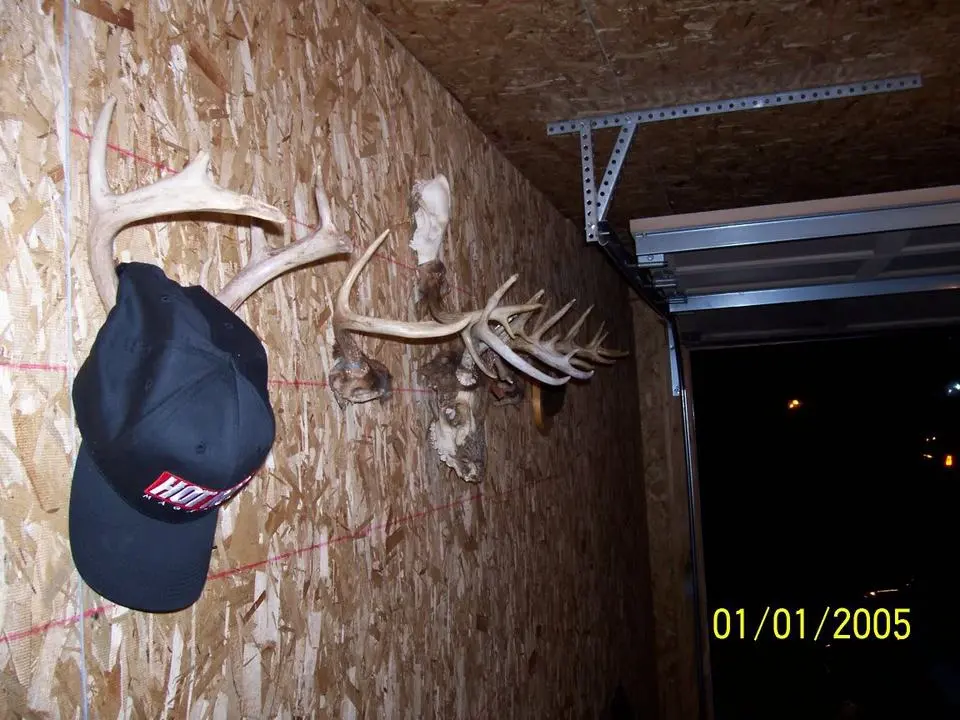 100_0264.webp