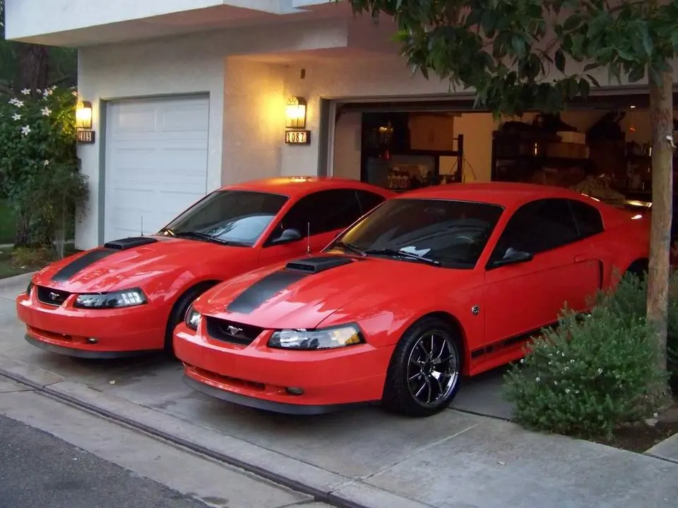 100_0265.webp