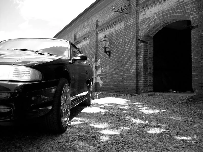 100_0267.webp