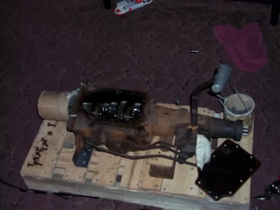 100_0281.webp