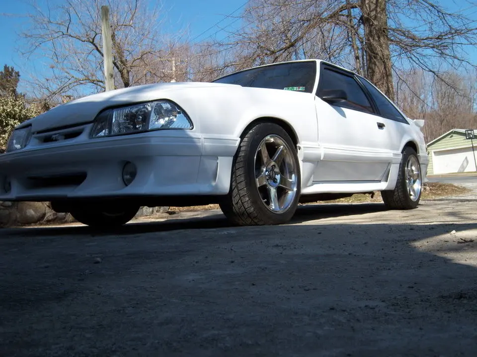 100_0281.webp