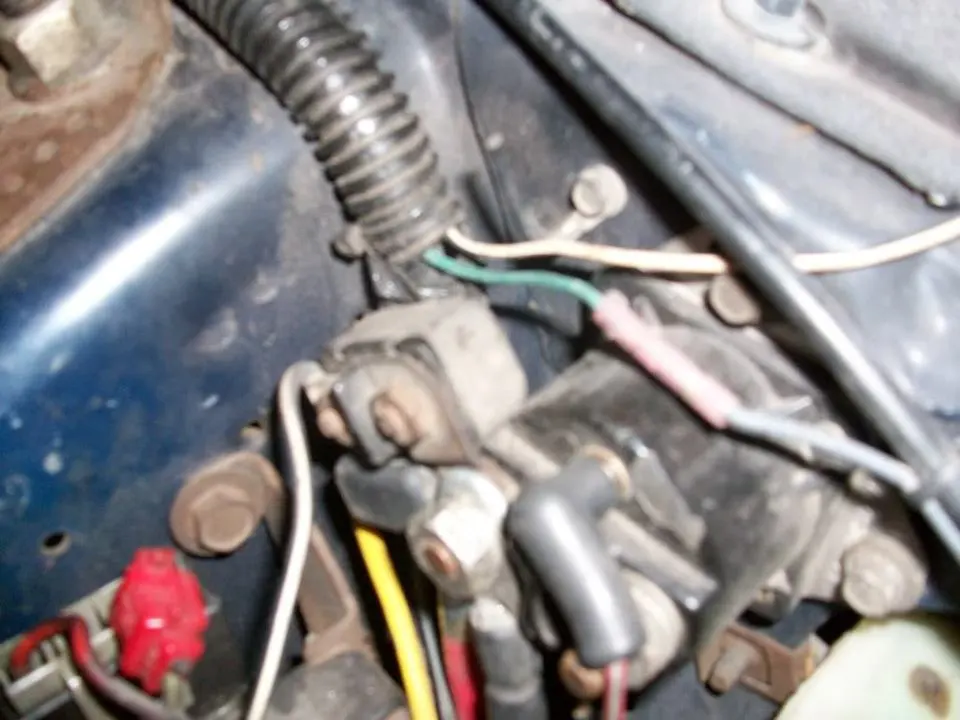 100_0293.webp
