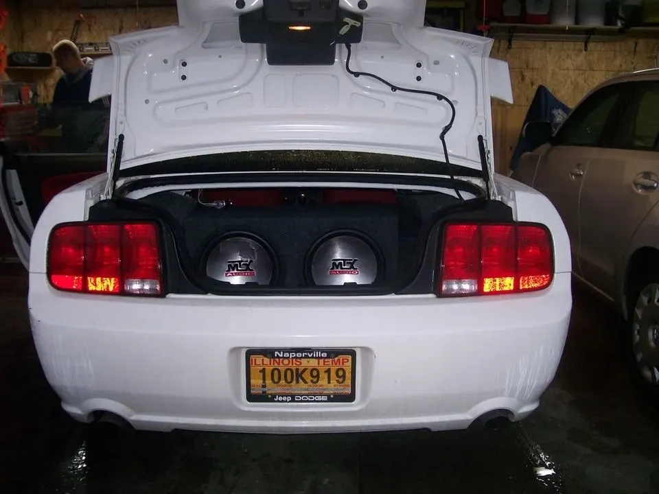 100_0319.webp