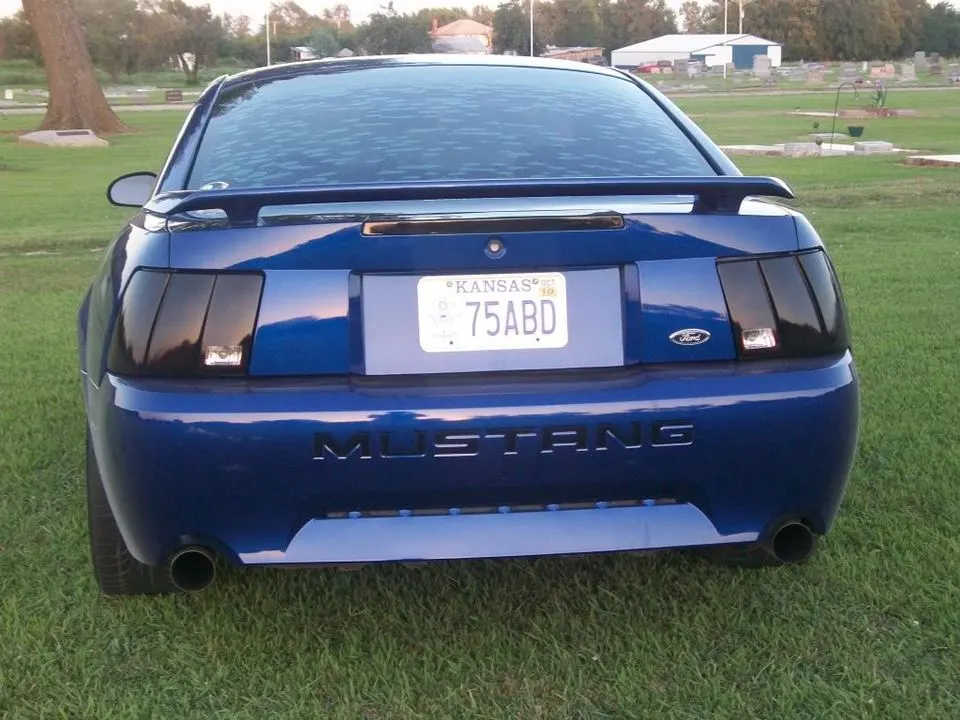 100_0339.webp
