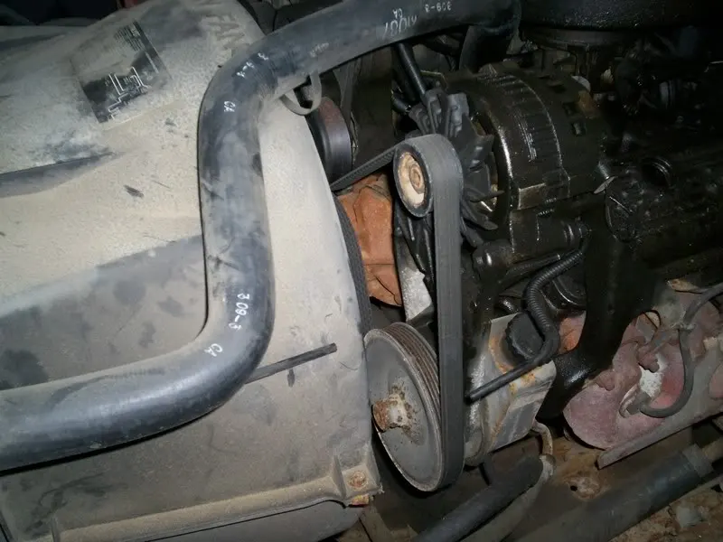 100_0343.webp