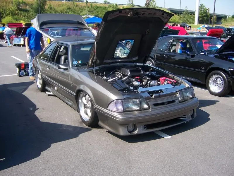 100_0344.webp
