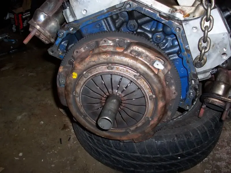 100_0353.webp