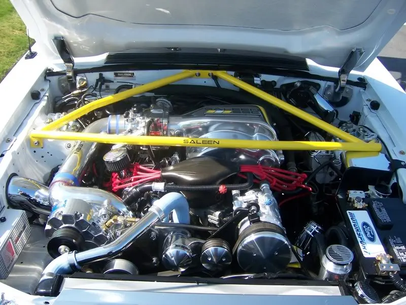 100_0355.webp