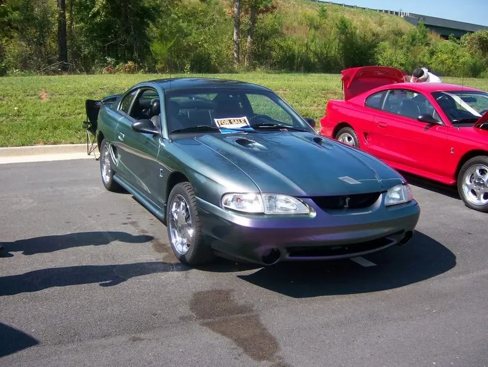 100_0356.webp