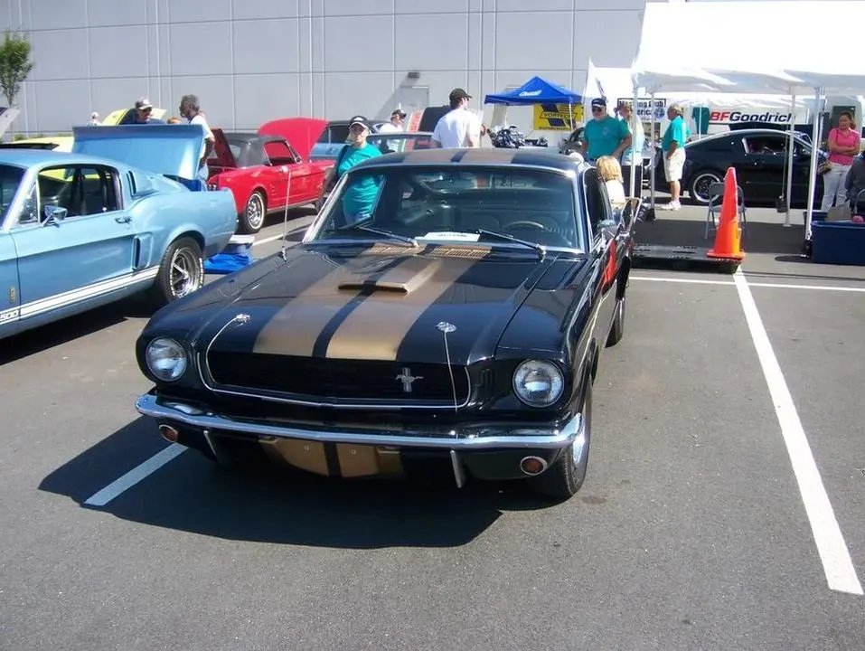 100_0358.webp