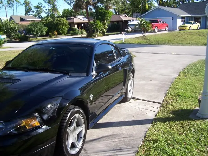 100_0359.webp