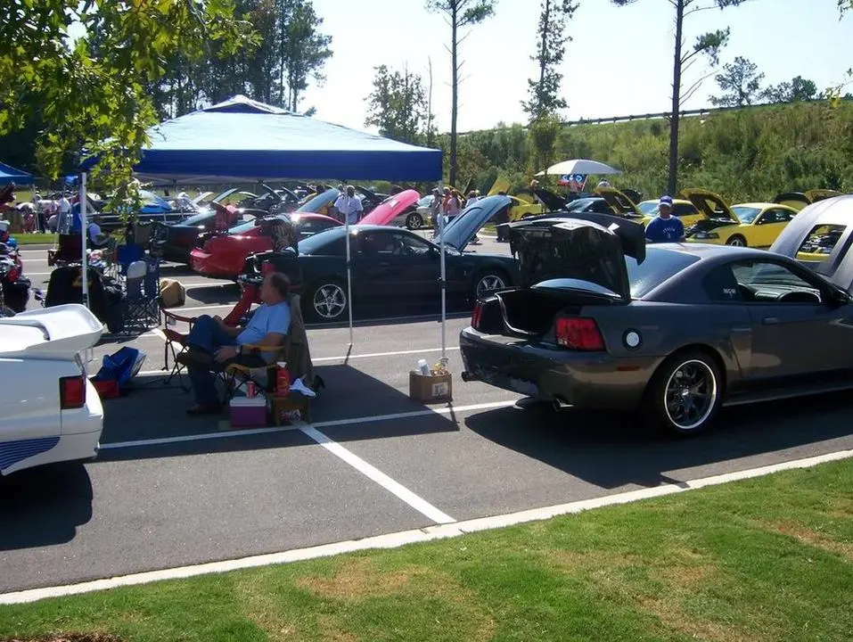 100_0363.webp