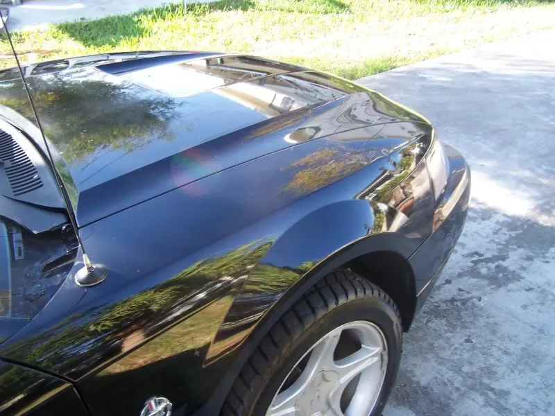 100_0365.webp