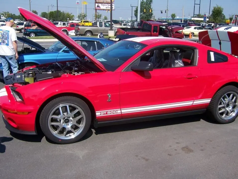 100_0365.webp