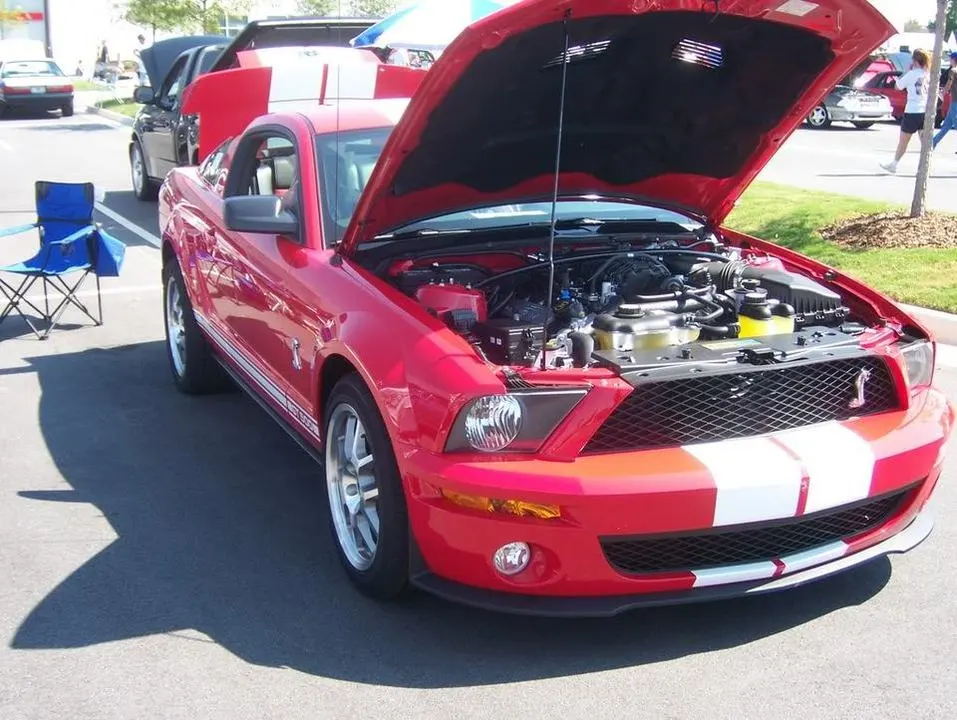 100_0368.webp