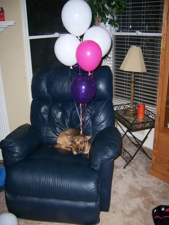 100_0372.webp