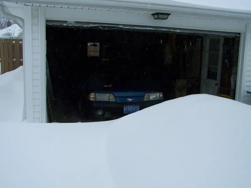 100_0380-1.webp