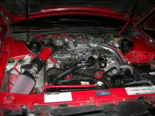 100_0386.webp
