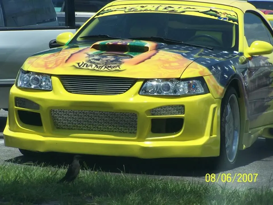 100_0390.webp