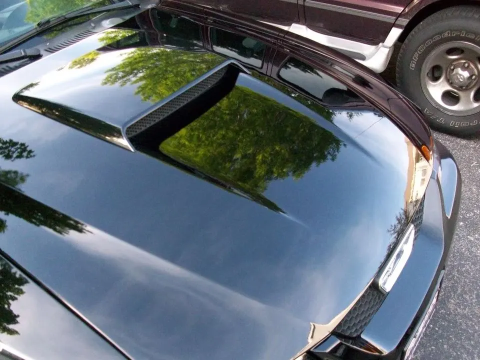 100_0424.webp