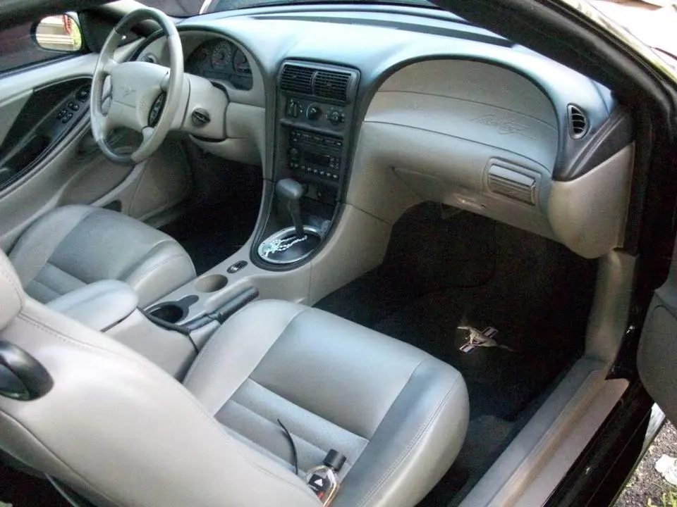 100_0431.webp