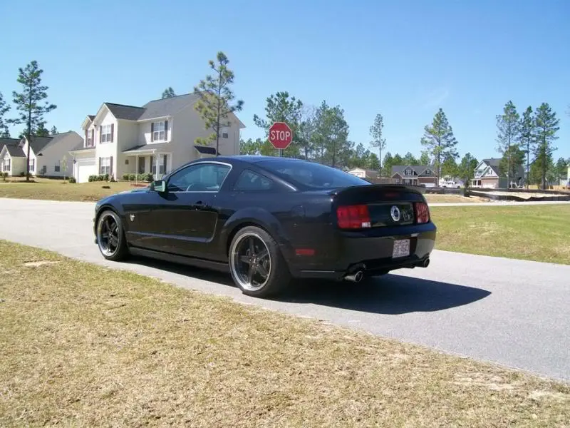 100_0435.webp