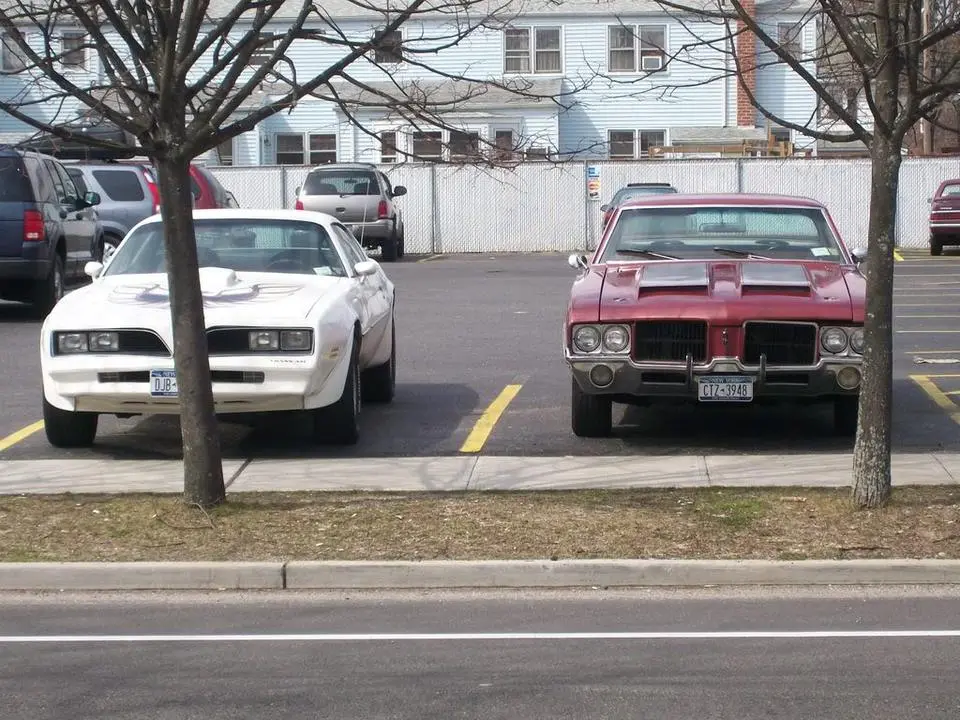 100_0452.webp