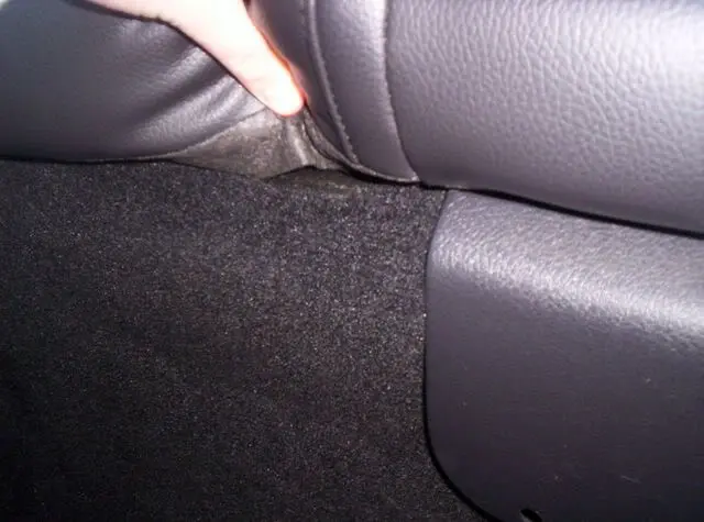 100_0532.webp