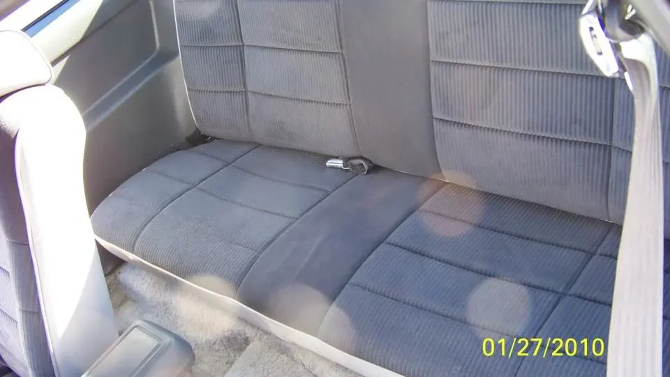 100_0555.webp