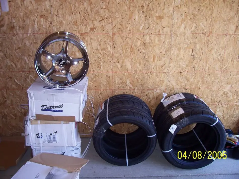 100_0556.webp