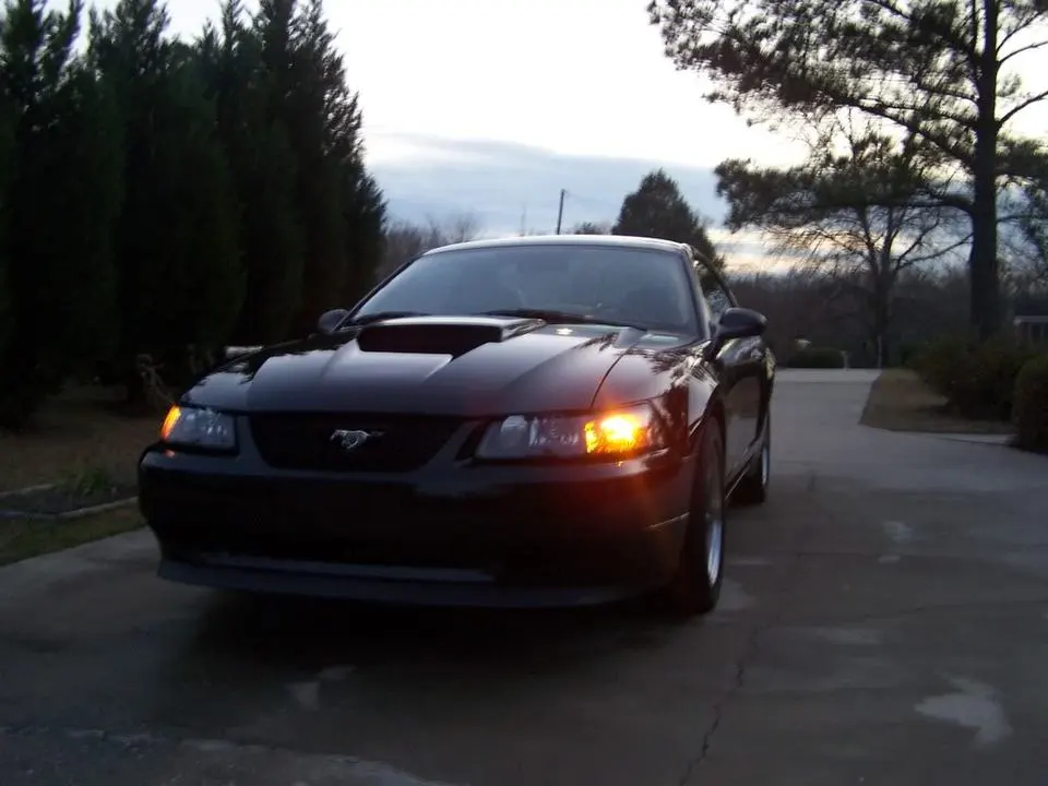 100_0565.webp