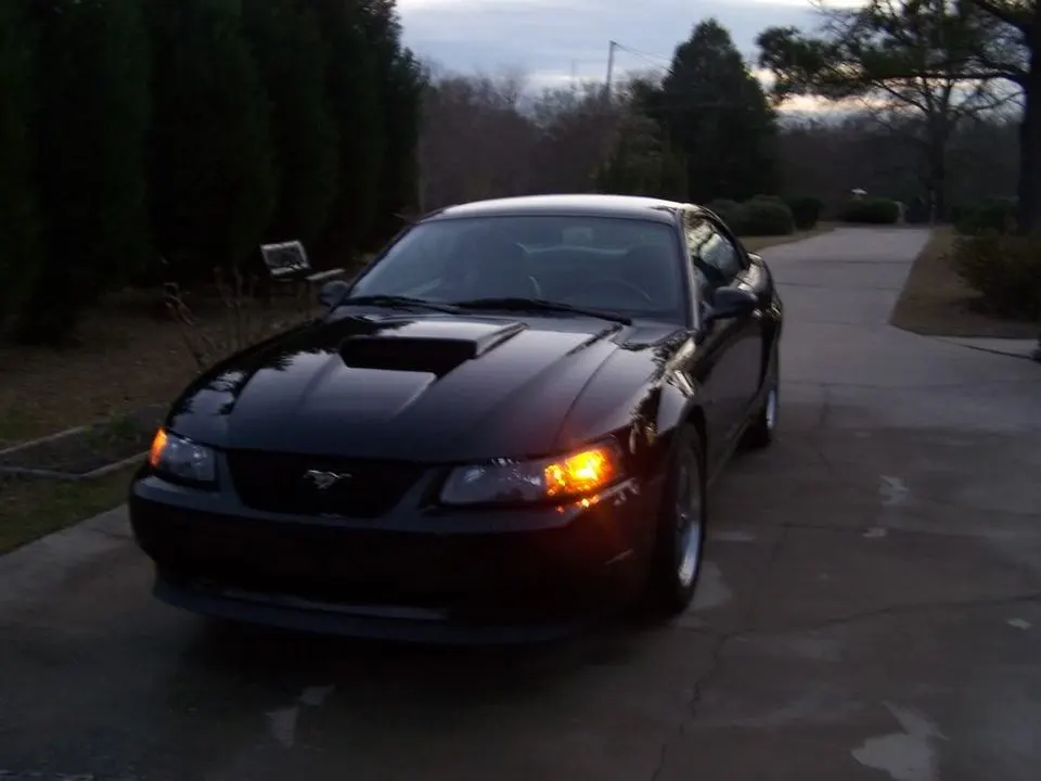 100_0566.webp