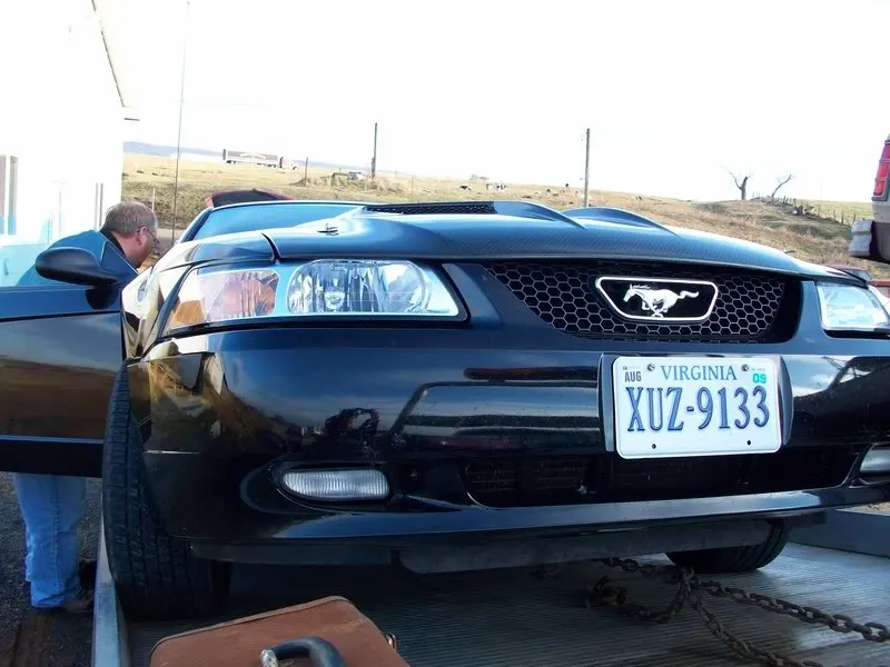 100_0568.webp