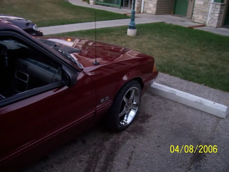 100_0569.webp