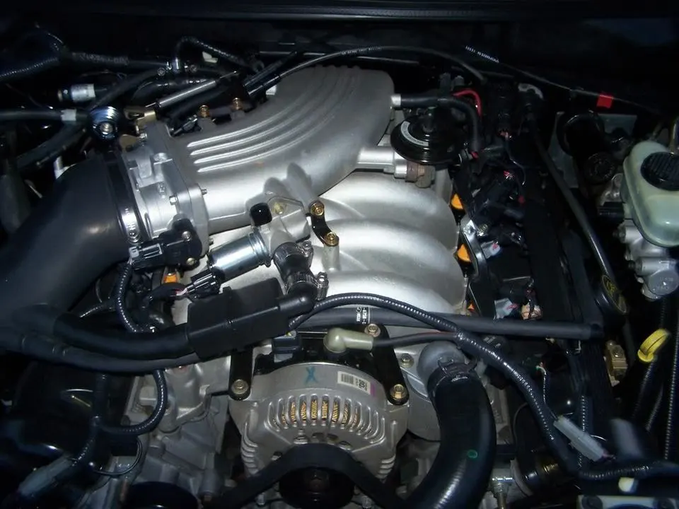 100_0577.webp