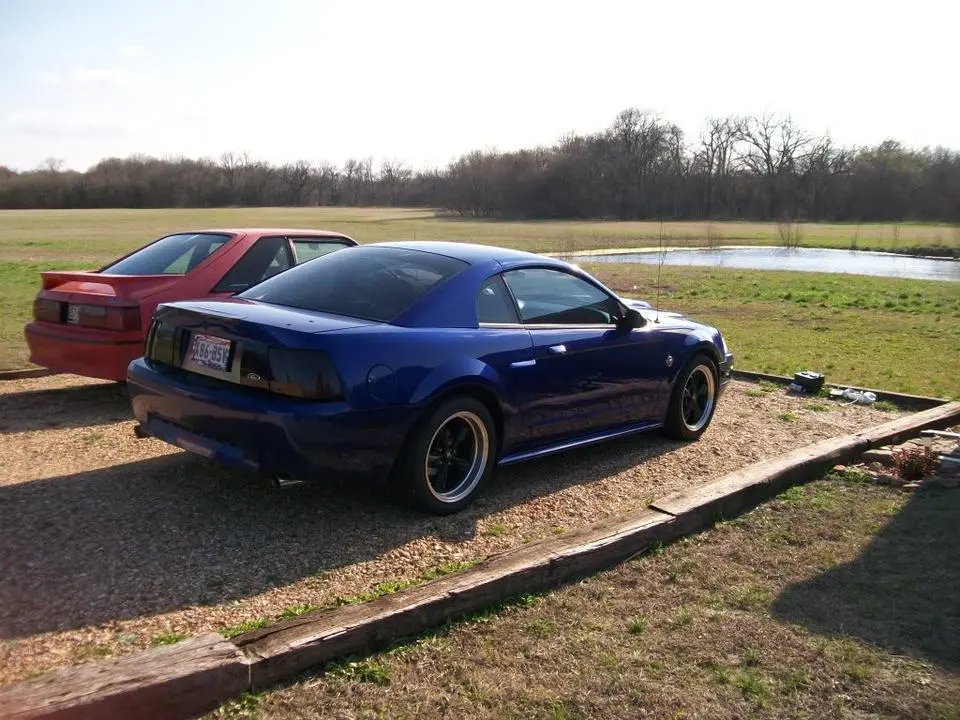 100_0591.webp