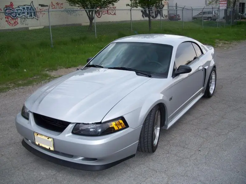 100_0597-1.webp